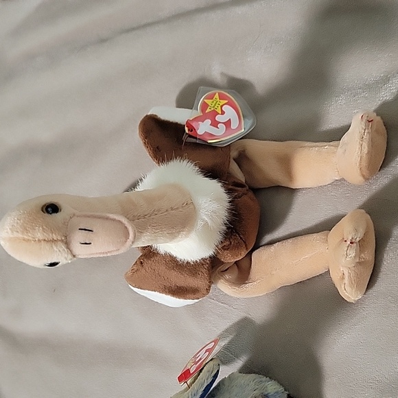 Ty Beanie Babies - Stretch & Buzzy - Picture 2 of 13